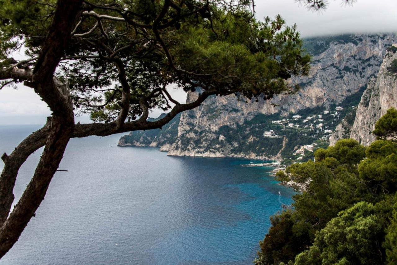 Villacore Capri Dış mekan fotoğraf